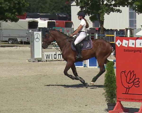 Reitturnier Rot am See- Musdorf 2019