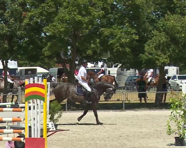 Reitturnier Rot am See- Musdorf 2019