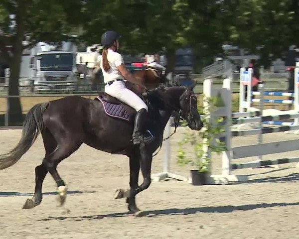 Reitturnier Rot am See- Musdorf 2019