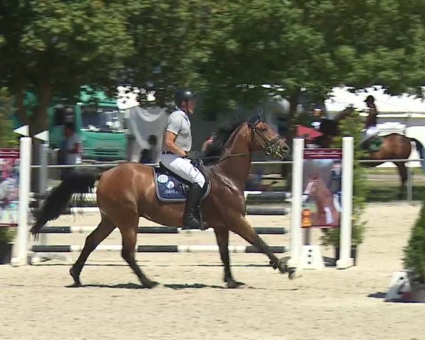 Reitturnier Rot am See- Musdorf 2019