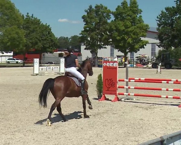 Reitturnier Rot am See- Musdorf 2019