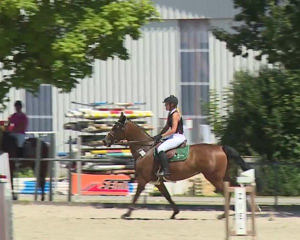 Reitturnier Rot am See- Musdorf 2019