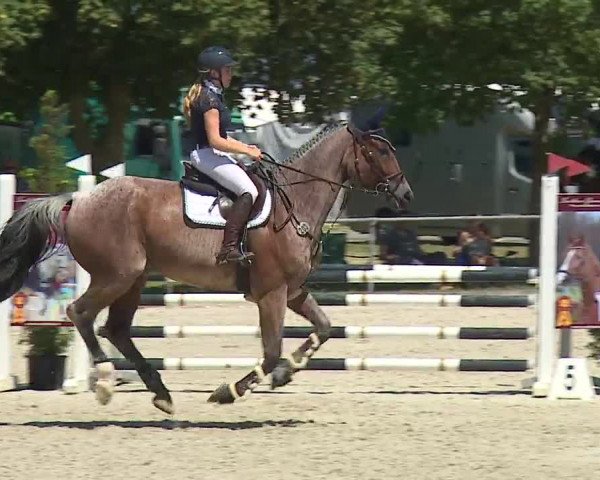 Reitturnier Rot am See- Musdorf 2019