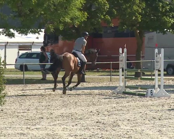 Reitturnier Rot am See- Musdorf 2019
