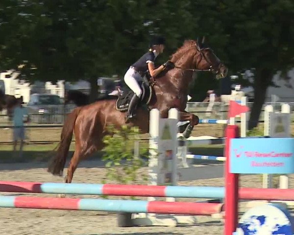 Reitturnier Rot am See- Musdorf 2019