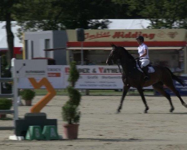 Reitturnier Münster-Handorf 2019