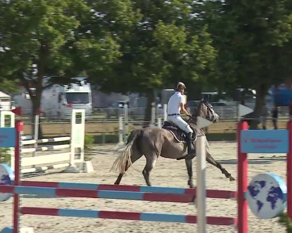 Reitturnier Rot am See- Musdorf 2019