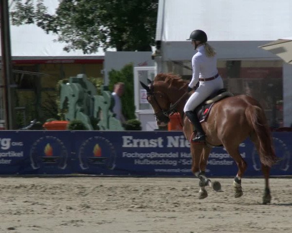 Westfalen-Woche 2019