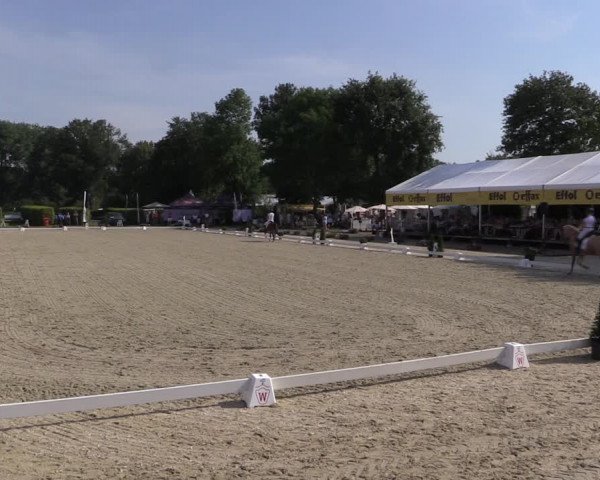 Westfalen-Woche 2019