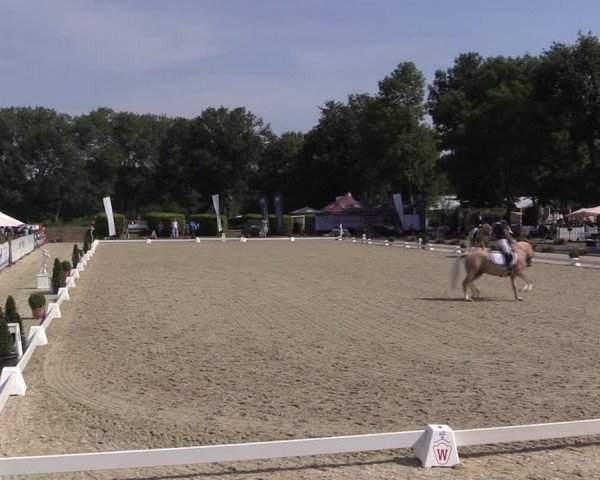 Westfalen-Woche 2019