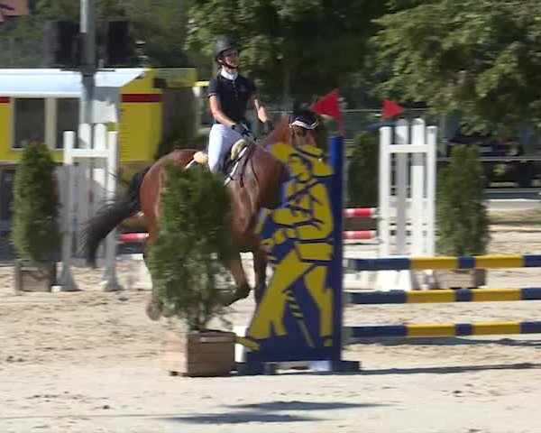 Reitturnier Balsthal 2019