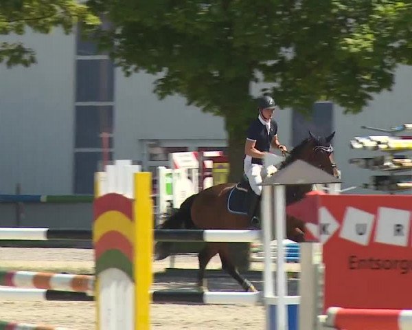 Reitturnier Rot am See- Musdorf 2019