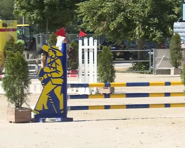 Reitturnier Balsthal 2019