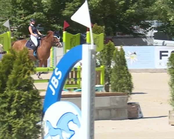 Reitturnier Balsthal 2019
