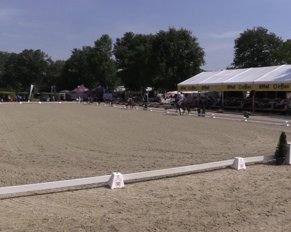 Westfalen-Woche 2019