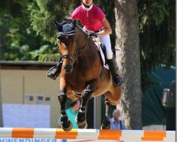 jumper Caitana 10 (Hanoverian, 2007, from Calme)