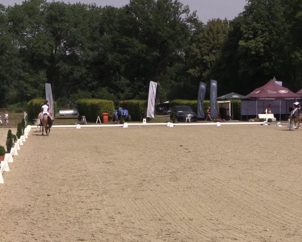 Westfalen-Woche 2019