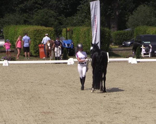 Reitturnier Münster-Handorf 2019