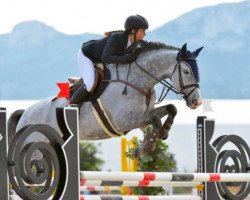 jumper Deister S (KWPN (Royal Dutch Sporthorse), 2008, from Clearway)