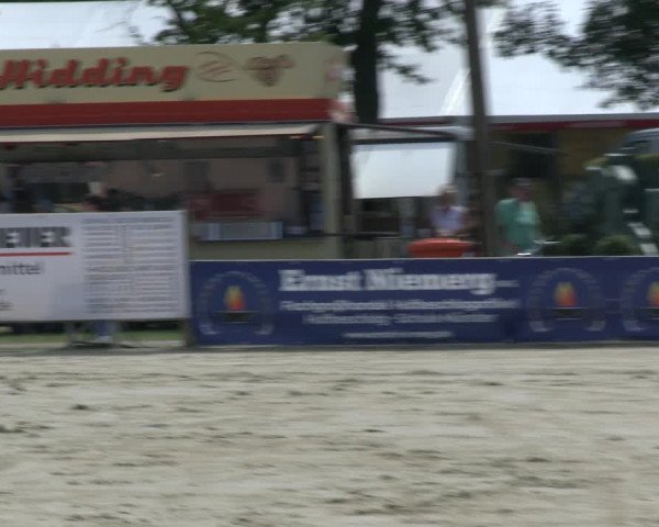 Westfalen-Woche 2019