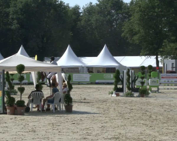 Reitturnier Münster-Handorf 2019
