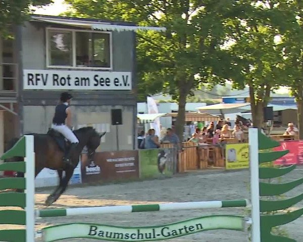 Reitturnier Rot am See- Musdorf 2019