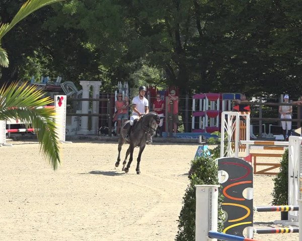 Reitturnier Bättwil 2019