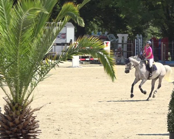 Reitturnier Bättwil 2019