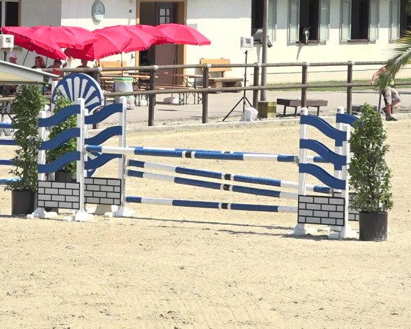Reitturnier Bättwil 2019