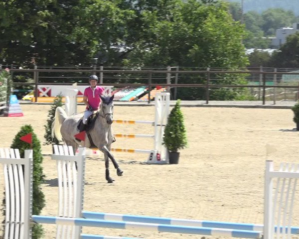 Reitturnier Bättwil 2019