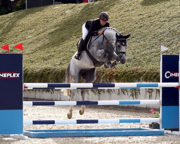 jumper Chotthu (Holsteiner, 2010, from Captain Fire)