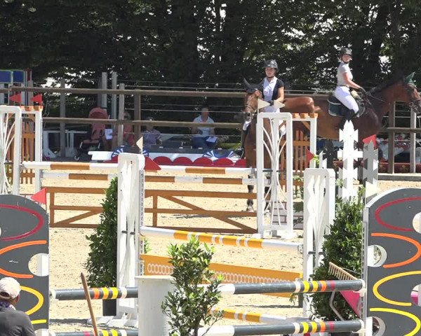 Reitturnier Bättwil 2019