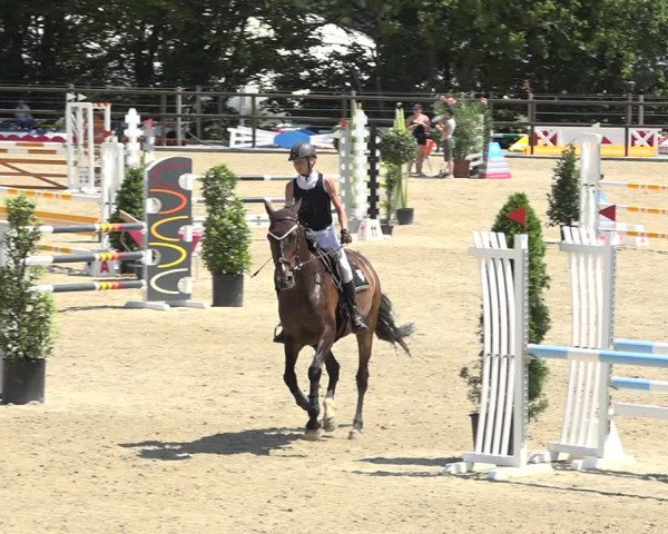 Reitturnier Bättwil 2019