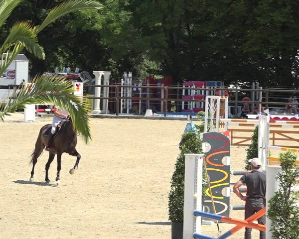 Reitturnier Bättwil 2019