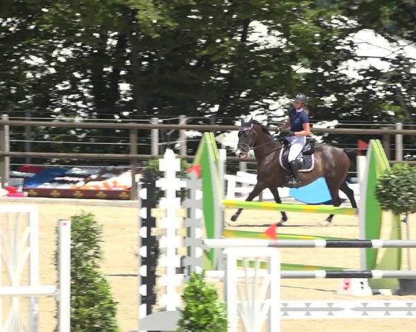 Reitturnier Bättwil 2019