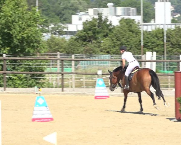 Reitturnier Bättwil 2019