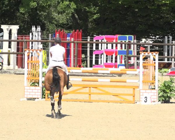 Reitturnier Bättwil 2019