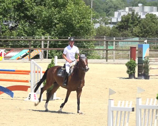 Reitturnier Bättwil 2019