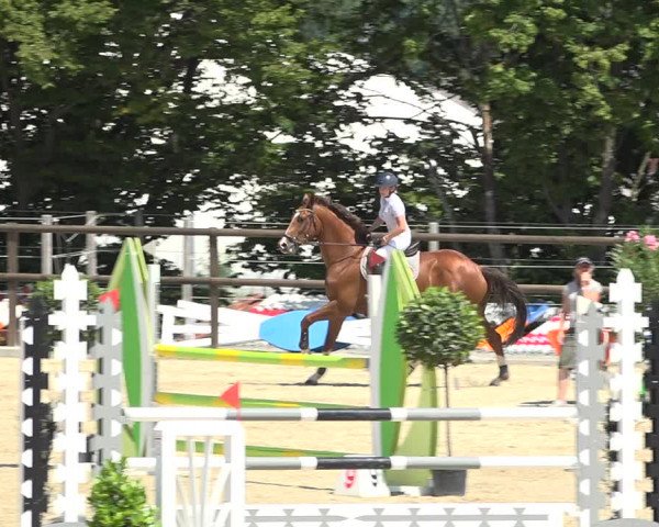 Reitturnier Bättwil 2019