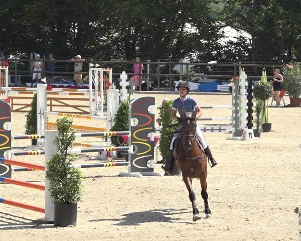 Reitturnier Bättwil 2019