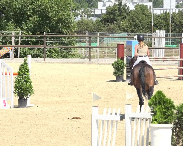 Reitturnier Bättwil 2019