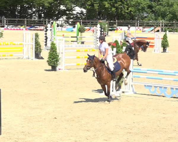 Reitturnier Bättwil 2019