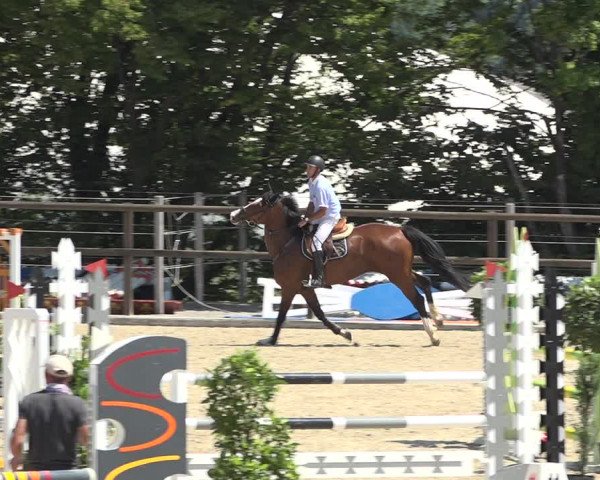 Reitturnier Bättwil 2019