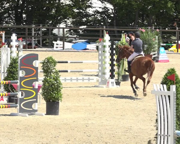 Reitturnier Bättwil 2019