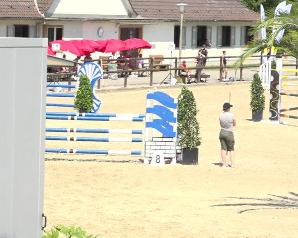 Reitturnier Bättwil 2019
