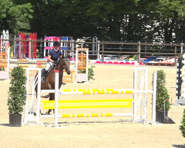Reitturnier Bättwil 2019