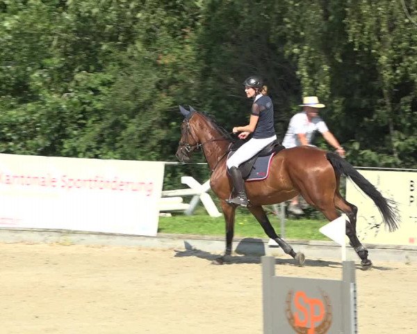 Summer Masters Maienfeld 2019