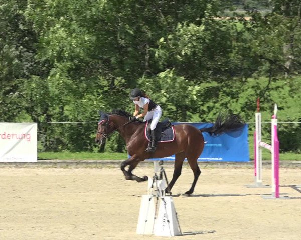 Summer Masters Maienfeld 2019