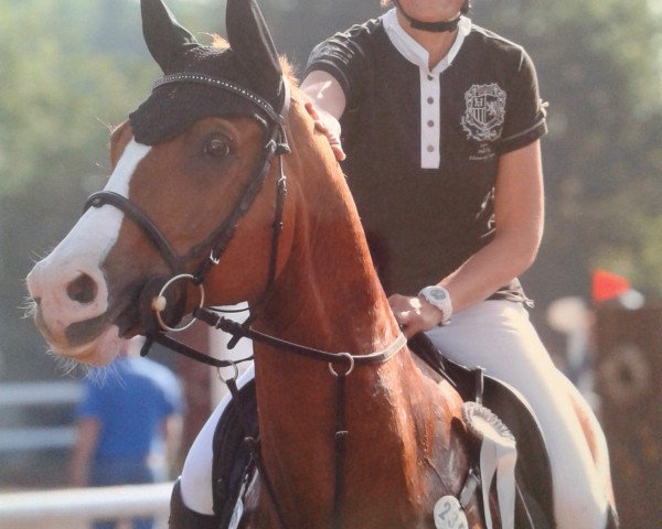 Cavallo da salto Euro Fighter (Hannover, 2003, di Escudo I)