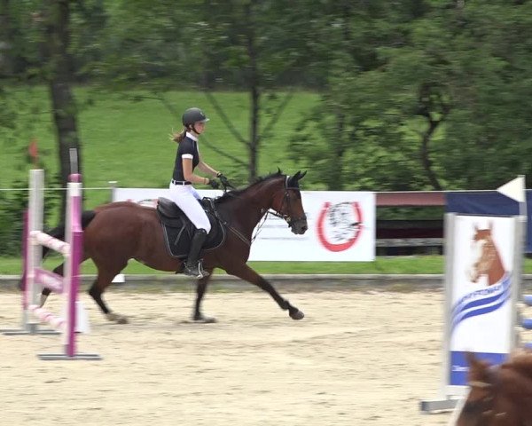 Summer Masters Maienfeld 2019